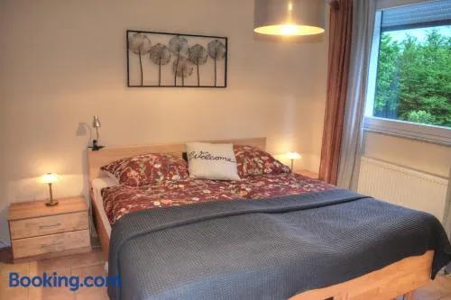 Ferienwohnung "Zum Paladin" - Image 1