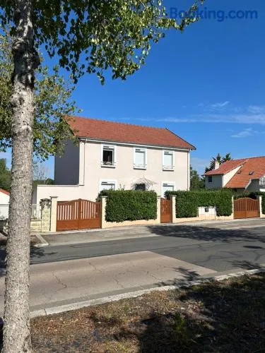 Les Géraniums - Image 1