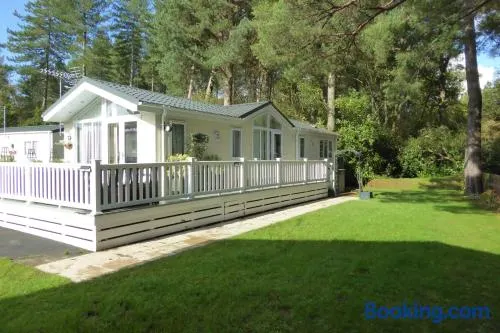 Violet 28 Oakdene Forest Park - Image 1