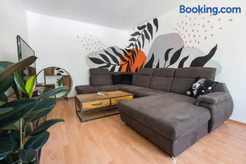 Excellent Large Lux Apartment Central Martin - Image 1