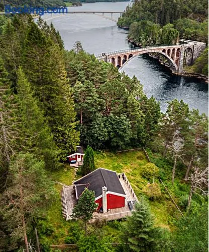 Forest Cabin by the Water - Image 1