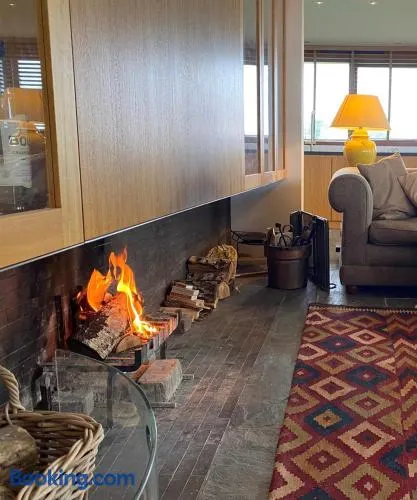 Hestar Husid, het luxe paardenhuis - Image 1