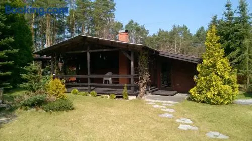 Bory Tucholskie Domek - Image 1