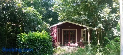 Retraitehuisje Westerwolde - Image 1