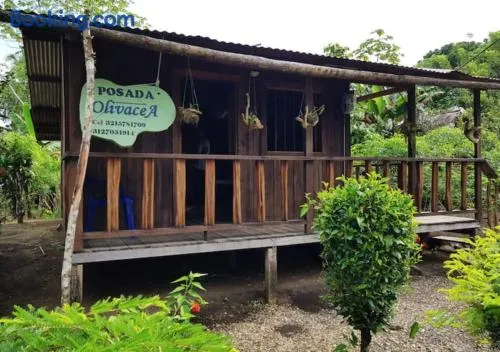 Posada Oliva - Image 1