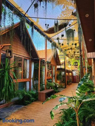 Nhà Của An Homestay, Coffee & Spa Long Xuyên - Image 1