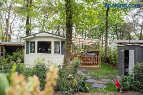 UMABELL Forest Dream Cozy Nature Retreat - Image 1