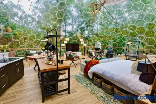 1 of a kind! Largest Transparent Luxe Dome in USA! - Image 1