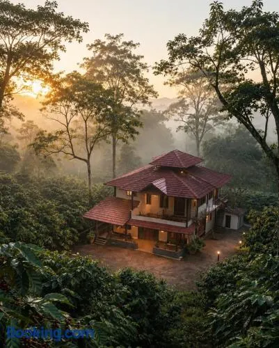 Rain forest estate stay up stairs cofea eastate - Image 1