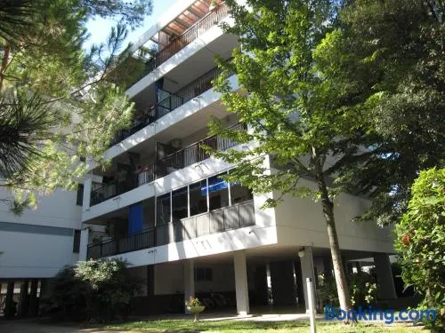Argea - Image 1