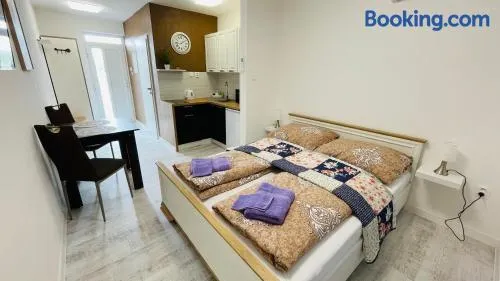HENRY APARTMENT - Nesvady - Slovakia - Image 1