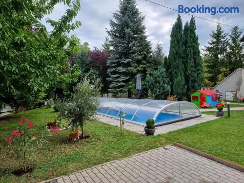 Balaton Holiday - Image 1