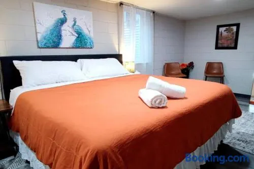 Spacious Suite Close to Downtown Indy/ King Bed - Image 1