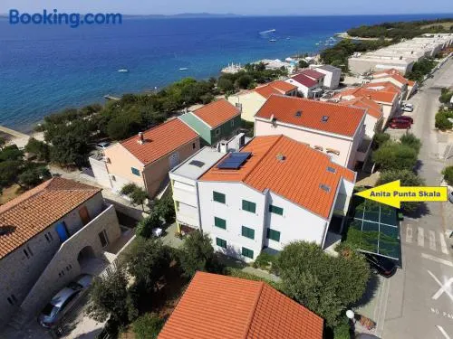 Apartments Anita - Punta Skala - Image 1