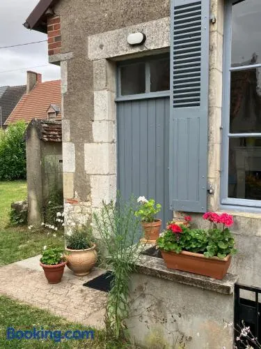 Rural House near Sancerre 2 bedrooms - Image 1
