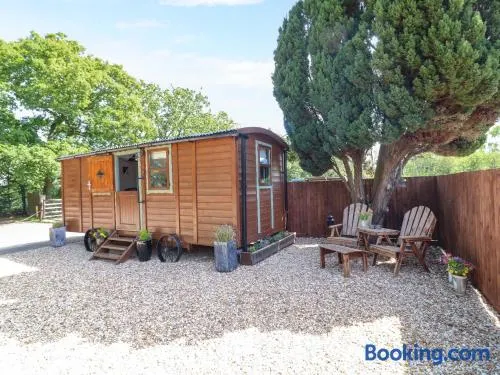 Lake View Shepherds Hut - Image 1
