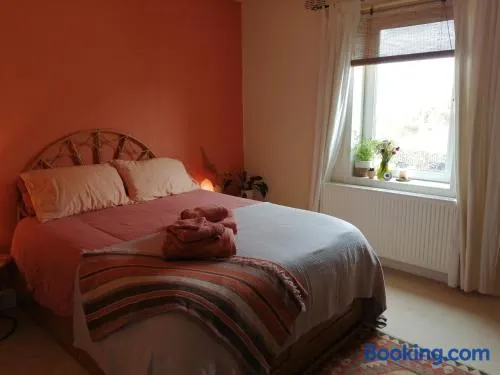 Cozy Peaceful Room - Image 1