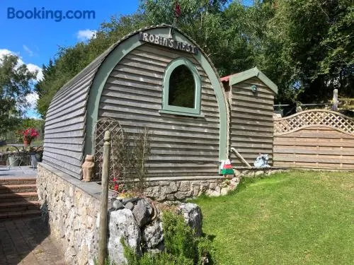 Robins Nest glamping pod North Wales - Image 1