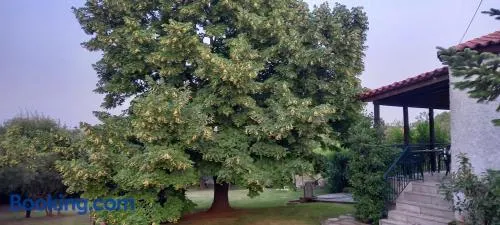 Lidden tree cottage - Image 1