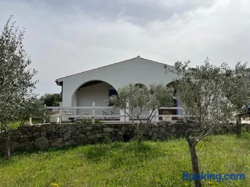 La casa nell'oliveto - Image 1