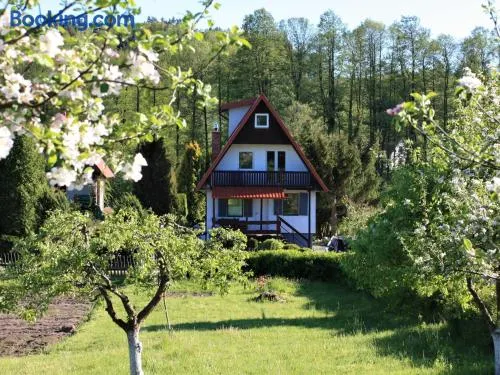 Dom na Mazurach Ładnie Tu - Image 1
