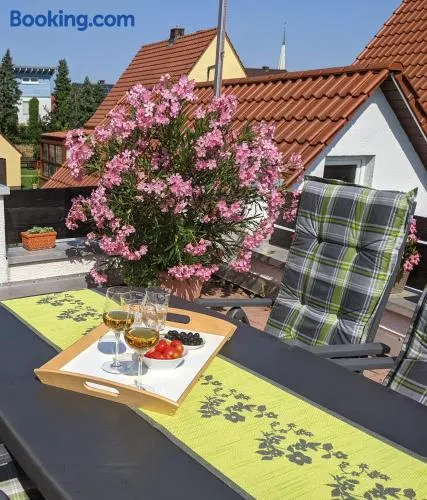 Hortensie Speyer - Image 1