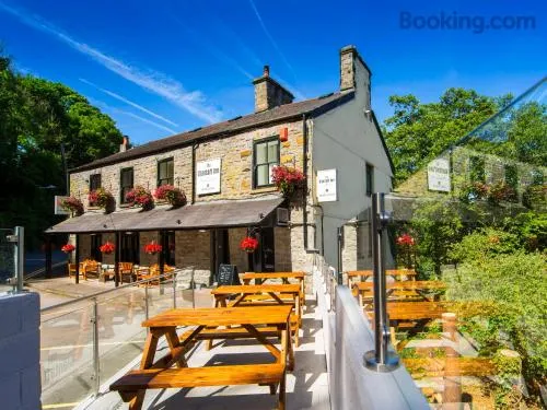 The Glantaff Inn Bunkhouse - Image 1