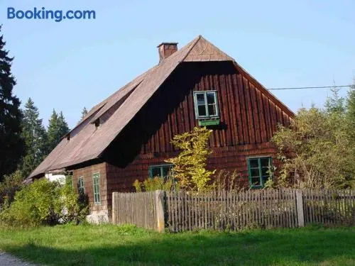 Ferienhaus Juster im Wald - Image 1