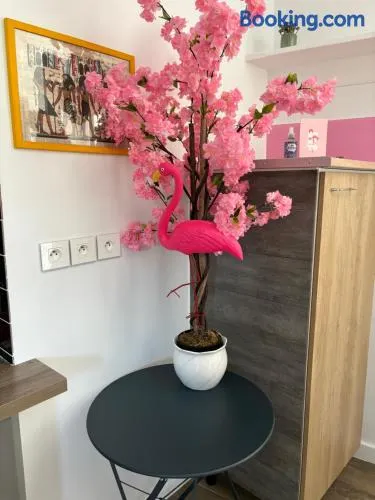 maison pink flamingo aeroport tillé 2 a 4 personnes - Image 1