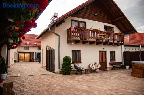 Casa Iancu Jina - Image 1