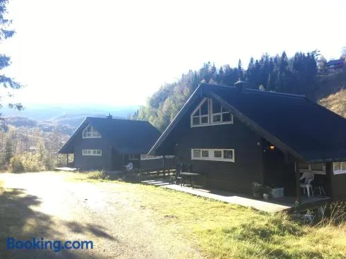 Kvamskogen & Hardanger Holliday homes - Image 1
