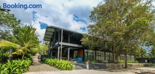The Domain - Image 1