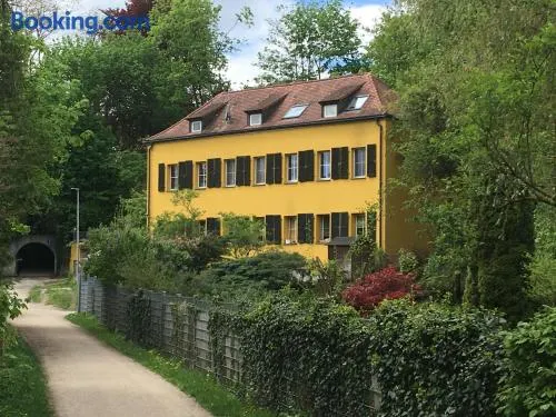 Zentrumsnahe Dachwohnung in grüner Oase - Image 1