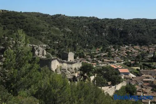 Les lavandes de Sèverine - Image 1