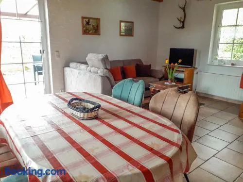 Ferienhaus Boddenurlaub - Image 1