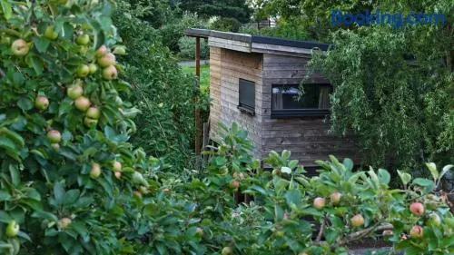 Cabane du hibou - Image 1