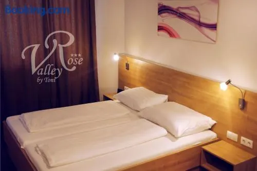 Hotel - Restaurant Valley Rose - Image 1