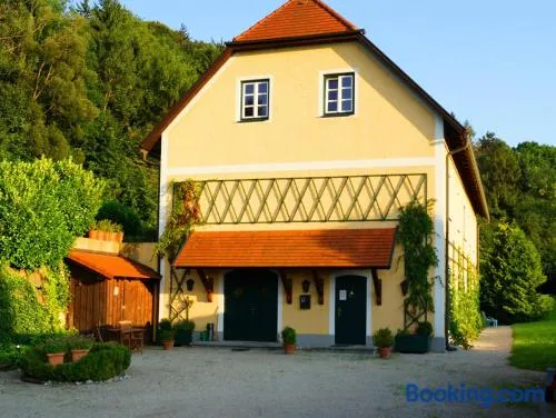 Pyhra - Urlaub im Elsbeerland - Image 1
