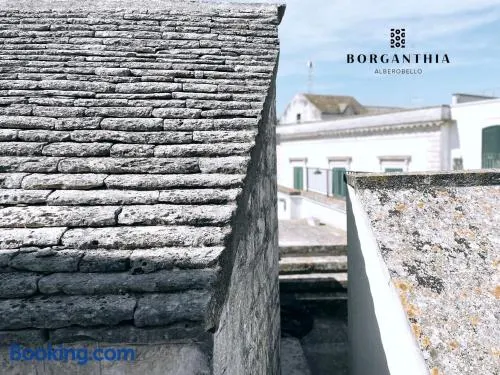 BORGANTHIA - Image 1