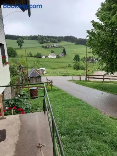 Schwarzwaldblick - Image 1