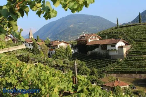 Weingut Eberlehof - Image 1