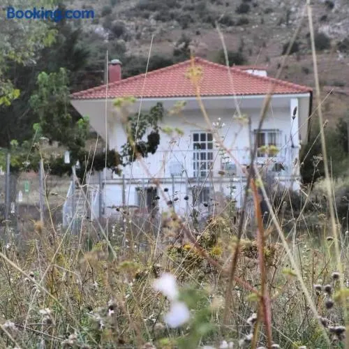 Mirto’s House - Image 1
