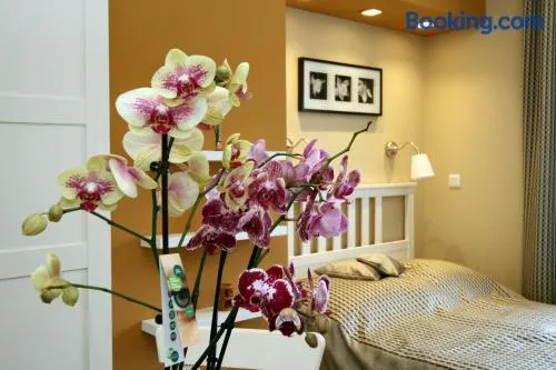 Orchidea Apartman Eger - Image 1
