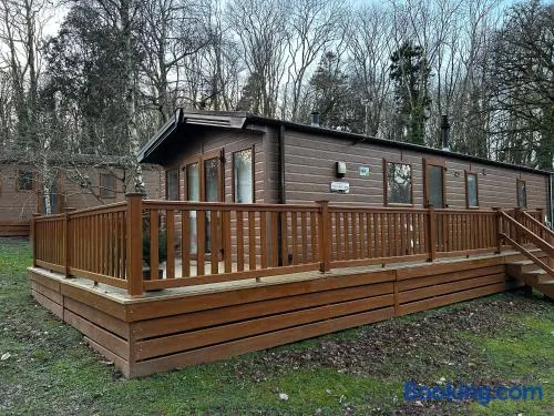 Cabin in the Woods - Image 1