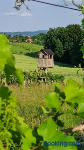 Hiša nad vinogradom - Image 1