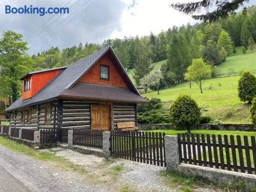 Originalna Drevenica Jezersko 43 - Image 1