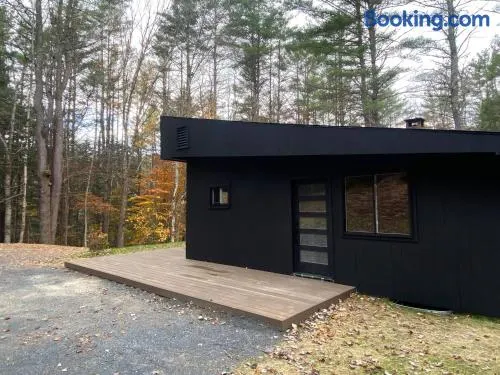 Scandinavian Serenity Close to Okemo - Image 1