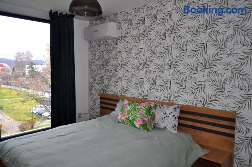 New Apartment at a Great Location - Image 1