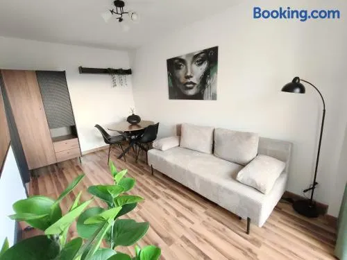 Piotrków Trybunalski Modern Apartment by BookingHost - Image 1