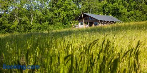Brocklands Farm Glamping - Image 1